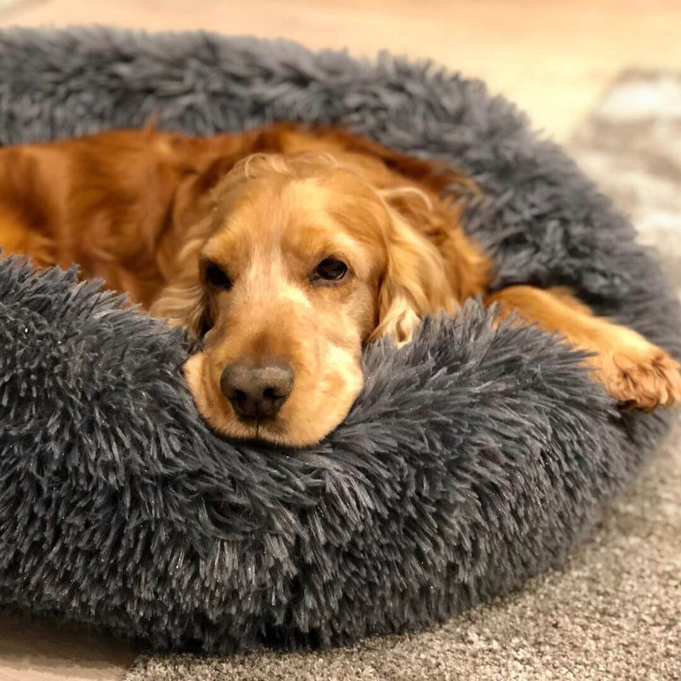 DOG CALMING BED™