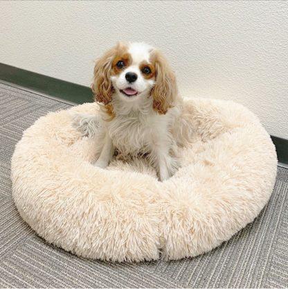 DOG CALMING BED™