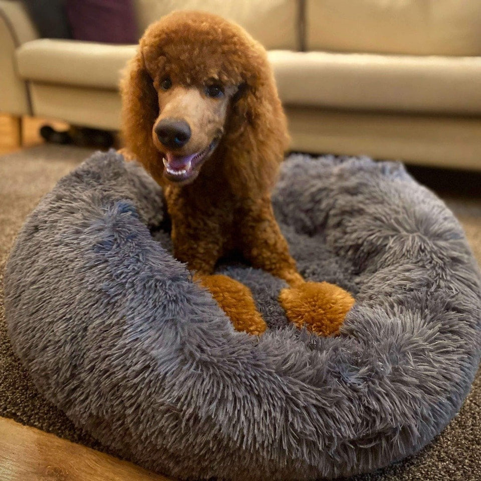 DOG CALMING BED™